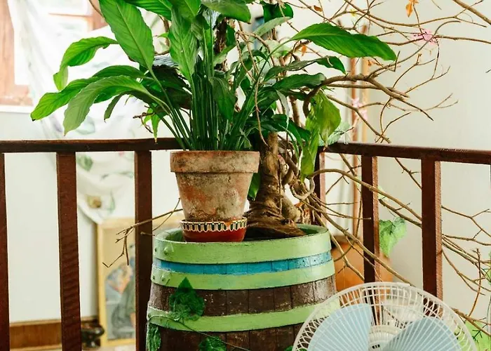 Holiday home марго *