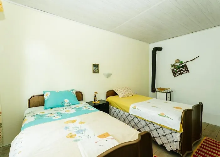 марго Holiday home