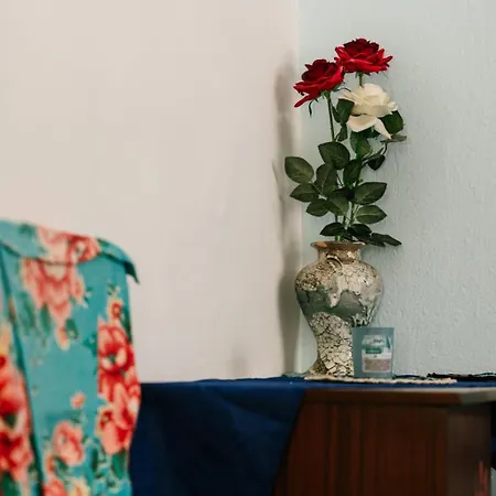 марго Nyaraló Koszti