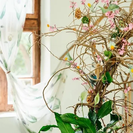 Nyaraló марго Koszti