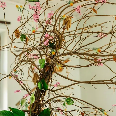 марго Nyaraló Koszti